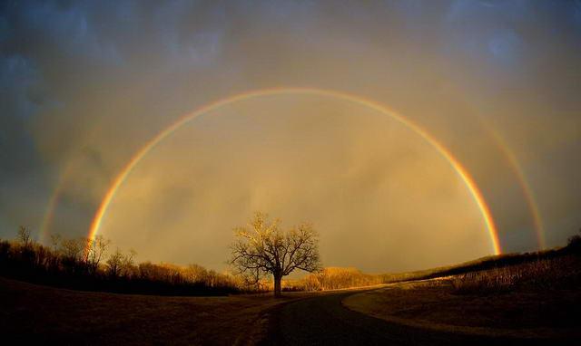 A double sunset rainbow in McFall, Missouri, spanning a lone tree: Remember spotting a rainbow as a child and feeling the sudden urge to jump up and down, point and shout: 