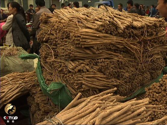 贵州省安顺市个人怎么联系药材收购商-安顺哪