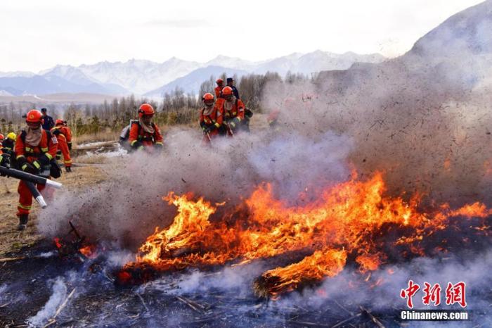 应急管理部：2019年全国共发生森林火灾2345起