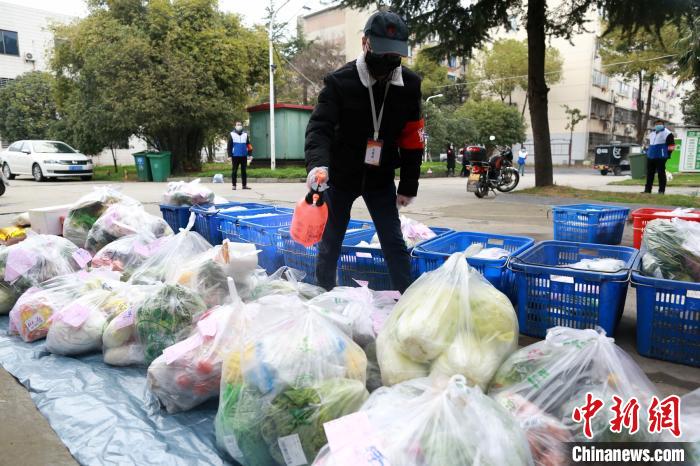「采摘」湖北襄阳：从采摘到配送 时令蔬菜进入居民家