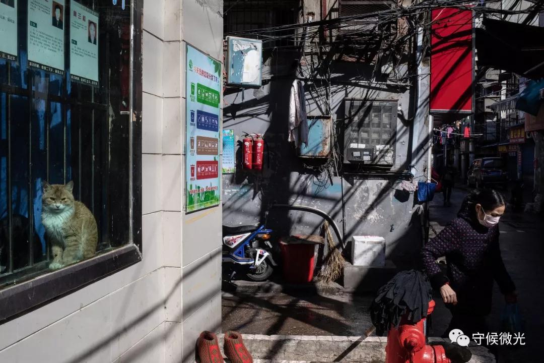 #幼小衔接#封城后,生活在焦虑和乐观间摇摆 | 我的武汉日志