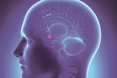 生物钟■疫情让我们培养不少习惯 生活有很多细节值得关注