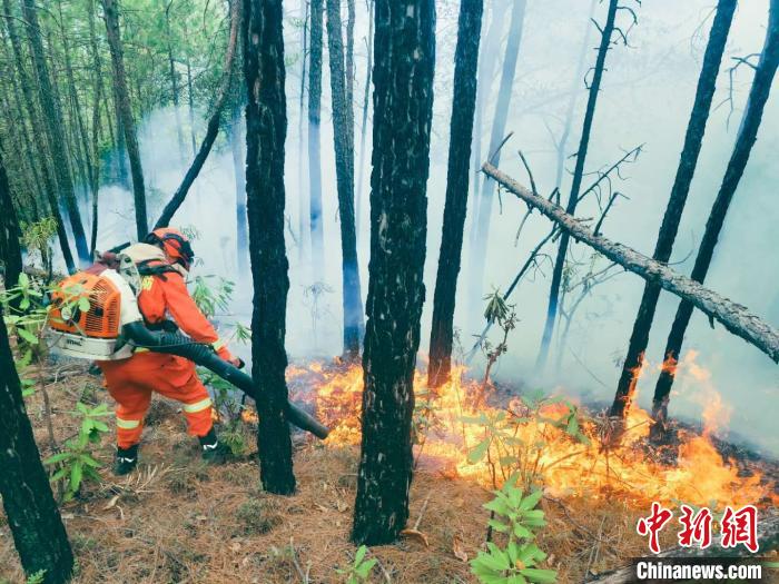 「丽江市」丽江龙蟠乡森林火灾东线已无明火 北线西线基本控制
