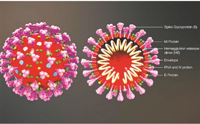 感染者@普通人应如何防护“无症状感染”？专家回应！