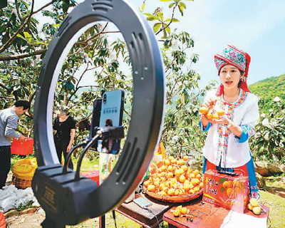 【电商】电商加速“买买买”良性循环