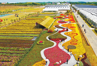 「假期」过一个健康安全的假期