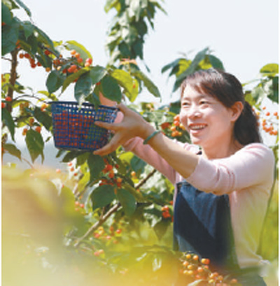 致富产业致富忙 法治添保障