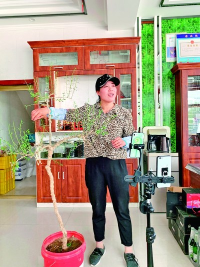 王航弟王航弟触网记