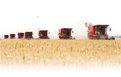 小麦|1.7亿亩!全国麦收进度过半 黄淮海主产区机收率超98%