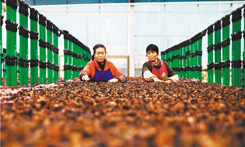 印江县|贵州印江县多措并举巩固成果—— 脱贫之后再攻坚