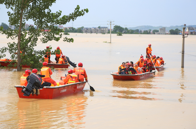勋章|这样的脸、手、脚……都是你们最帅的样子