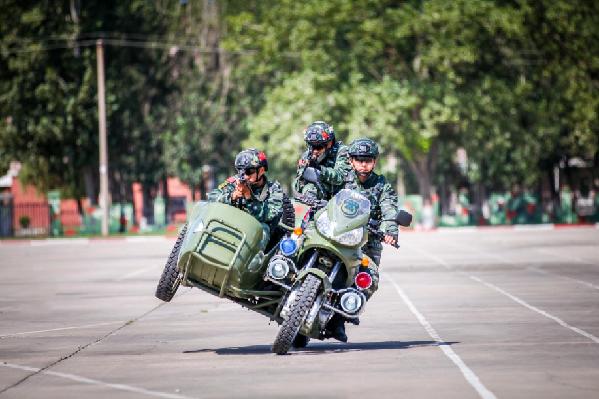 实战化|武警第一机动总队某支队开展实战化训练