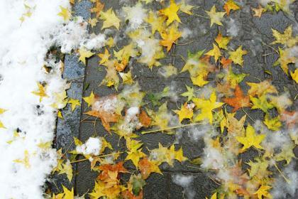 A&nbsp;heavy&nbsp;snow&nbsp;transformed&nbsp;Beijing&nbsp;into&nbsp;a&nbsp;winter&nbsp;wonderland&nbsp;on&nbsp;Oct&nbsp;31,&nbsp;giving&nbsp;late-night&nbsp;Halloween&nbsp;goers&nbsp;an&nbsp;extra&nbsp;spook.&nbsp;It&nbsp;is&nbsp;the&nbsp;earliest&nbsp;first&nbsp;snow&nbsp;in&nbsp;Beijing&nbsp;in&nbsp;22&nbsp;years.&nbsp;[Photo:China.org.cn]