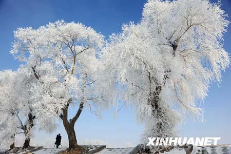 This&nbsp;photo&nbsp;taken&nbsp;on&nbsp;Saturday,&nbsp;November&nbsp;28,&nbsp;2009,&nbsp;shows&nbsp;the&nbsp;spectacular&nbsp;frost&nbsp;scene&nbsp;on&nbsp;the&nbsp;banks&nbsp;of&nbsp;the&nbsp;Songhua&nbsp;River&nbsp;of&nbsp;Jilin&nbsp;province&nbsp;in&nbsp;northeast&nbsp;China.&nbsp;[Photo:&nbsp;Xinhuanet]