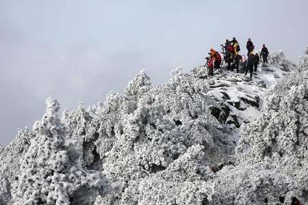 Tourists take photos of the imposing snowy view at the Huangshan Mountain, east China's Anhui Province, Feb. 16, 2010. (Xinhua/Li Li)