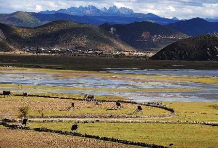 Photo taken on Oct. 20, 2009 shows the view of Shangri-la County, Tibetan Autonomous Prefecture of Deqen, southwest China's Yunnan Province, Tibetan Autonomous Prefecture of Deqen attractted more than 4 millions tourists home and abroad in 2009. [Photo: Xinhua] 