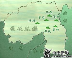 茶叶飘香——西双版纳的六大茶山