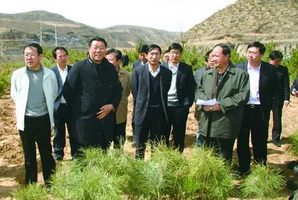 绿染陕西北大门_CCTV.com_中国中央电视台