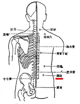 腰眼穴位置   按摩方法:   自我按摩时,先找第4腰椎棘突这个水平线.