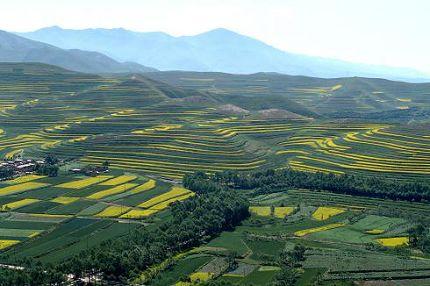 国内最大规模矿产资源循环产业园湖北荆门开工