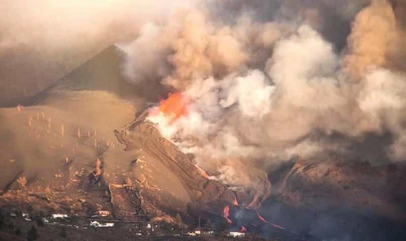 这样的假期托管让人“爱”了
