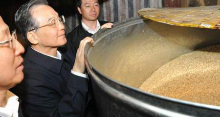 Premier Wen inspects Guizhou Province