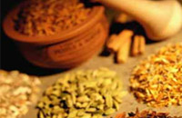 <b>Feature 1 : Traditional Chinese Medicine Spa </b> 