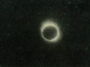 El eclipse solar total en 1941, en Wuhan, China 