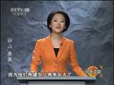 示例图片