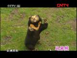 ����ҰѰ�١� 20111009