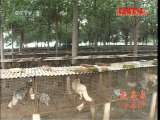 《县域经济报道》 20111020