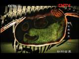 ���������硷 20111104