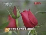 [�¸���]��Ŀ�ϼ�20120118-0327