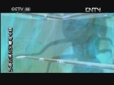 笛卡特警队之生化危机 1 基因危机 动画剧场_CCTV节目官网-CCTV-14_央视网(cctv.com)