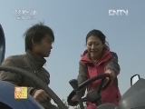 《每日农经》 20121203 赚钱的白术_CCTV节目官网-CCTV-7_央视网(cctv.com)