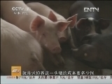 [聚焦三农]整期视频(20130408)_CCTV节目官网-CCTV17_央视网(cctv.com)