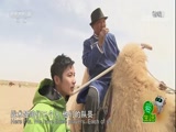《爱生活》 20170914 玩转草原