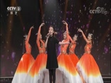 [向幸福出发]脑瘫女孩被诊不识字 不畏命运终成翻译者_CCTV节目官网-CCTV-3_央视网(cctv.com)