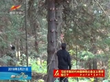 《新闻午报-新疆》 20180321
