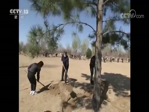 [东方时空]习近平在参加首都义务植树活动时强调 牢固树立绿水青山就是金山银山理念 打造青山常在绿水长流空气常新美丽中国CCTV节目官网CCTV13...