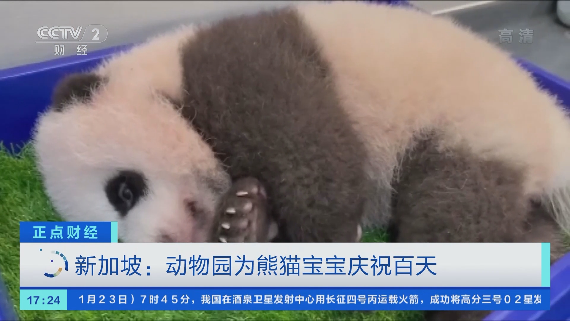 [正点财经]新加坡：动物园为熊猫宝宝庆祝百天_CCTV节目官网-CCTV-2_央视网(cctv.com)