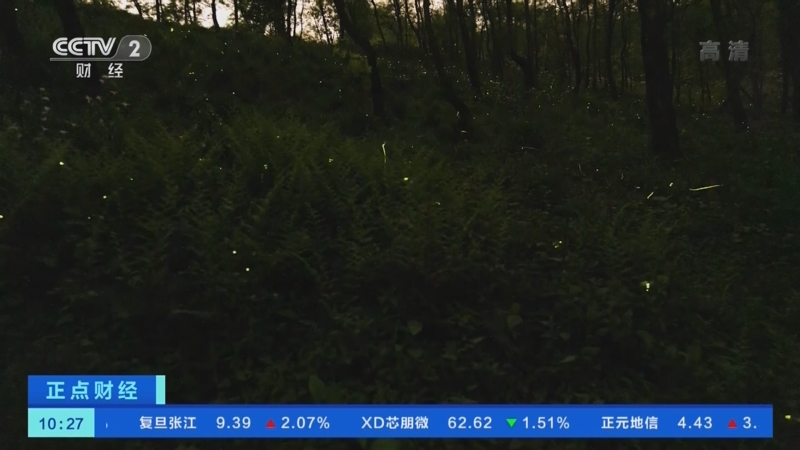[正点财经]四川成都：天台山迎来萤火虫观赏季_CCTV节目官网-CCTV-2_央视网(cctv.com)