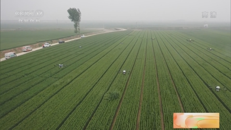 《中国三农报道》 20220521_CCTV节目官网-CCTV17_央视网(cctv.com)