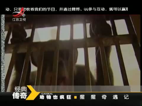 《经典传奇》 20120827 都是怪病惹的祸 “神奇”老太太背后的秘密_纪实台_中国网络电视台