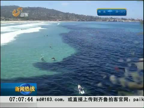 巴西航班提供世界杯直播 球迷空中看球_宁波网