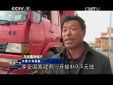 [聚焦三农]农业部“百乡万户”调查：土豆种植户新一年的希望