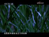 [��ɫ�ռ�]���������֮�桱 ���ϣ�(2009.11.12)