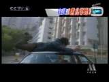 中国报道 2010年 第3期_CCTV节目官网-CCTV-6_央视网(cctv.com)