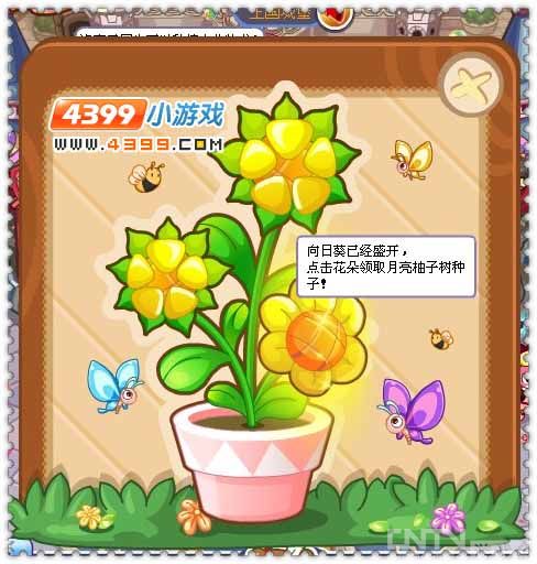 洛克王国魔法向日葵 收获柯莱蒂之蛋 - 其他 - 中