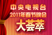2011�����Ӵ�����������